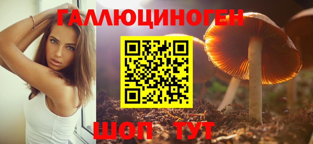 Псилоцибиновые грибы мицелий  Галлюциногенные грибы ЛСД  Вход с VPN  Кудымкар 